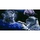 thumbnail image 1 of Cuadros Decorativos (DF3467) 5D DIY Taladro Completo Pintura Diamante Animal Punto de Cruz Bordado (Tiger05) 50x70cm Ndcxsfigh Nuevos Originales, 1 of 1