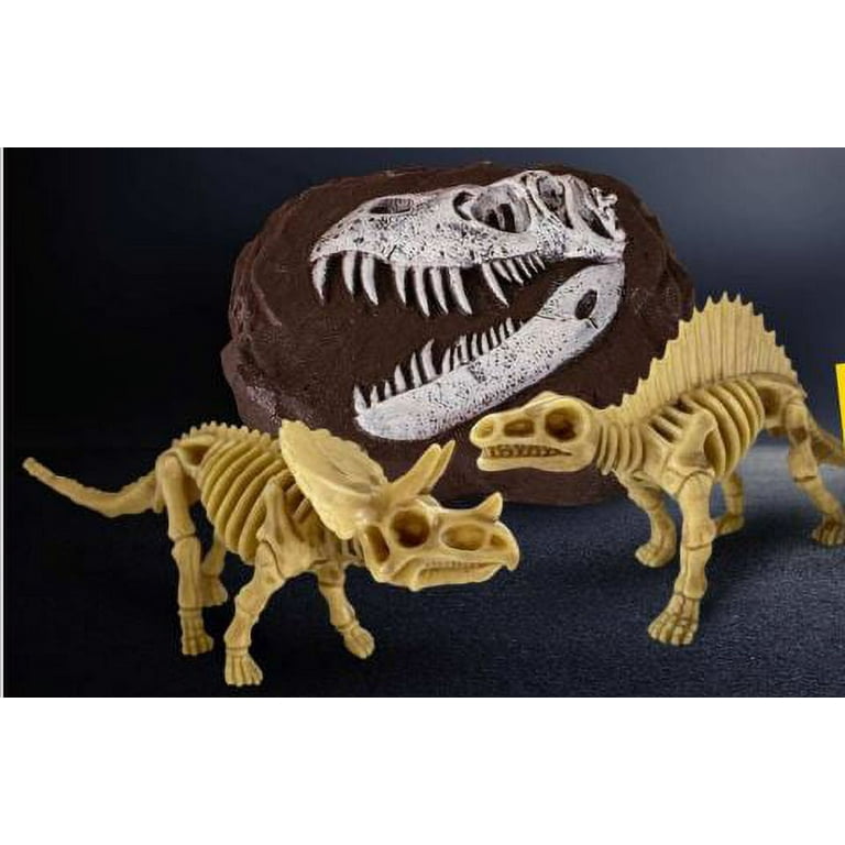 National Geographic National Geograpic Dino Dig Kit 18 x 6 x 25cm 18 x 6 x  25cm buy in United States with free shipping CosmoStore