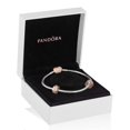 thumbnail image 4 of Pandora Heart Clasp Style Starter Bracelet Set, 4 of 5