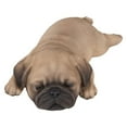 thumbnail image 7 of Hi- Line Gift 87710-L Pug Puppy Sleeping Pet Pals Statue, 7 of 7