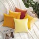 thumbnail image 5 of Paquete de 2 fundas de almohada de terciopelo para otoño, decorativas, cuadradas, suaves, 5 of 5