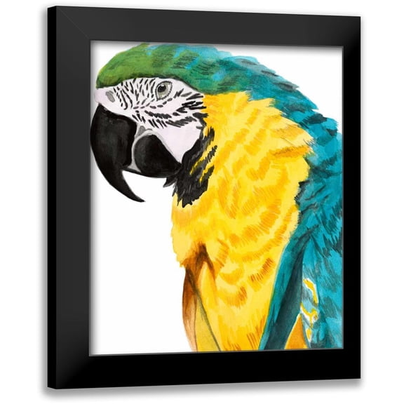 McCavitt, Naomi 12x14 Black Modern Framed Museum Art Print Titled - Watercolor Parrot