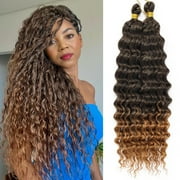 Eerya Long Curly Braiding Hair 30 Inch 2 Packs Ocean Wave Crochet Hair for Black Women Deep Wave Braiding Hair for Boho Braids (30 inch, T1B/30)