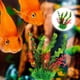 thumbnail image 4 of KAKOWELY Adorno de planta acuática artificial, adorno de planta subacuática de plástico, decoración de plantas acuáticas para acuario, 4 of 5