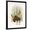 Black Frame, variant on Art.com Forest Moose Art Print by Ryan Fowler, 12" x 16"