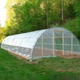 thumbnail image 4 of Leke Greenhouse Film, PE Clear Plastic Greenhouse Poly Film Polytunnel Poly Hot House Cover VARIOUS LENGT, 78*393Inch, 4 of 9