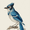 Scenery, variant on Blue Jay Floral Canvas Print, Aesthetic Wall Art for Living Room Bedroom Office Hallway Dining Room Entryway