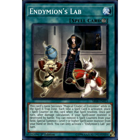 YuGiOh Structure Deck: Order of the Spellcasters Endymion's Lab