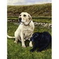 thumbnail image 1 of Carolines Treasures FRF0018GF Labradors Jaunes et Noirs, 1 of 3