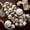 Metallics, variant on Member's Mark Shatterproof Ornament Collection, 82 Count
