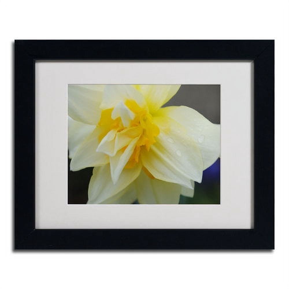 Trademark Fine Art "Sparkling Truth" by Monica Fleet, Black Frame