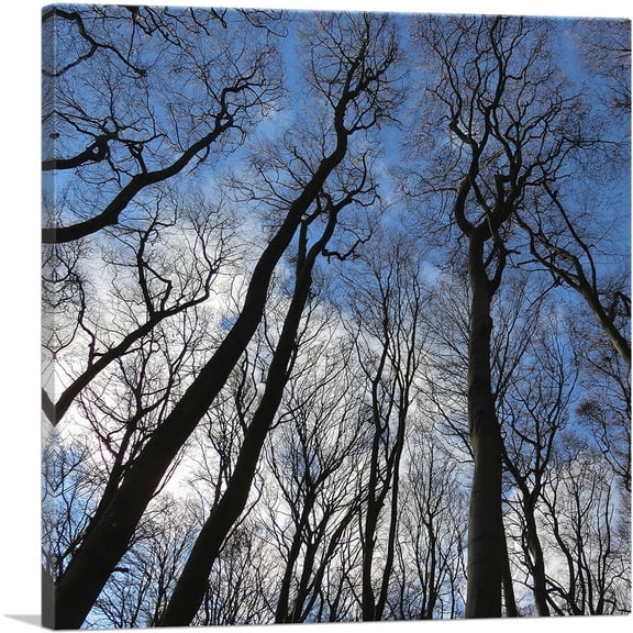 ARTCANVAS Forest Home Decor Square Canvas Art Print - Size: 18" x 18" (0.75" Deep)