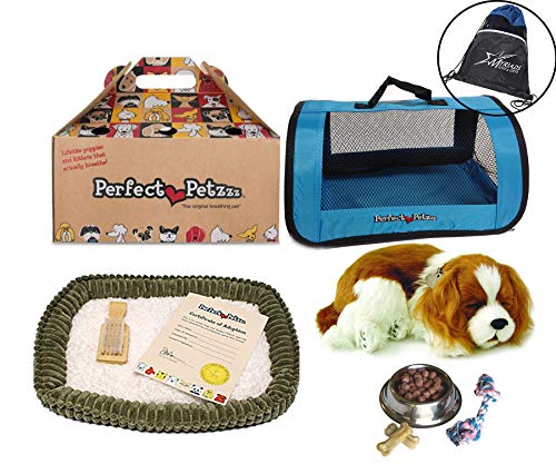 perfect petzzz cavalier king charles plush