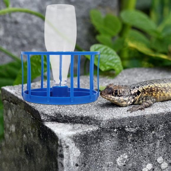 Phenofice De Automático Azul Para Reptiles Con Reservorio Grande Y Limpieza Fácil