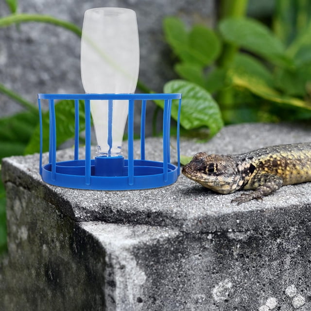 Phenofice De Automático Azul Para Reptiles Con Reservorio Grande Y Limpieza Fácil