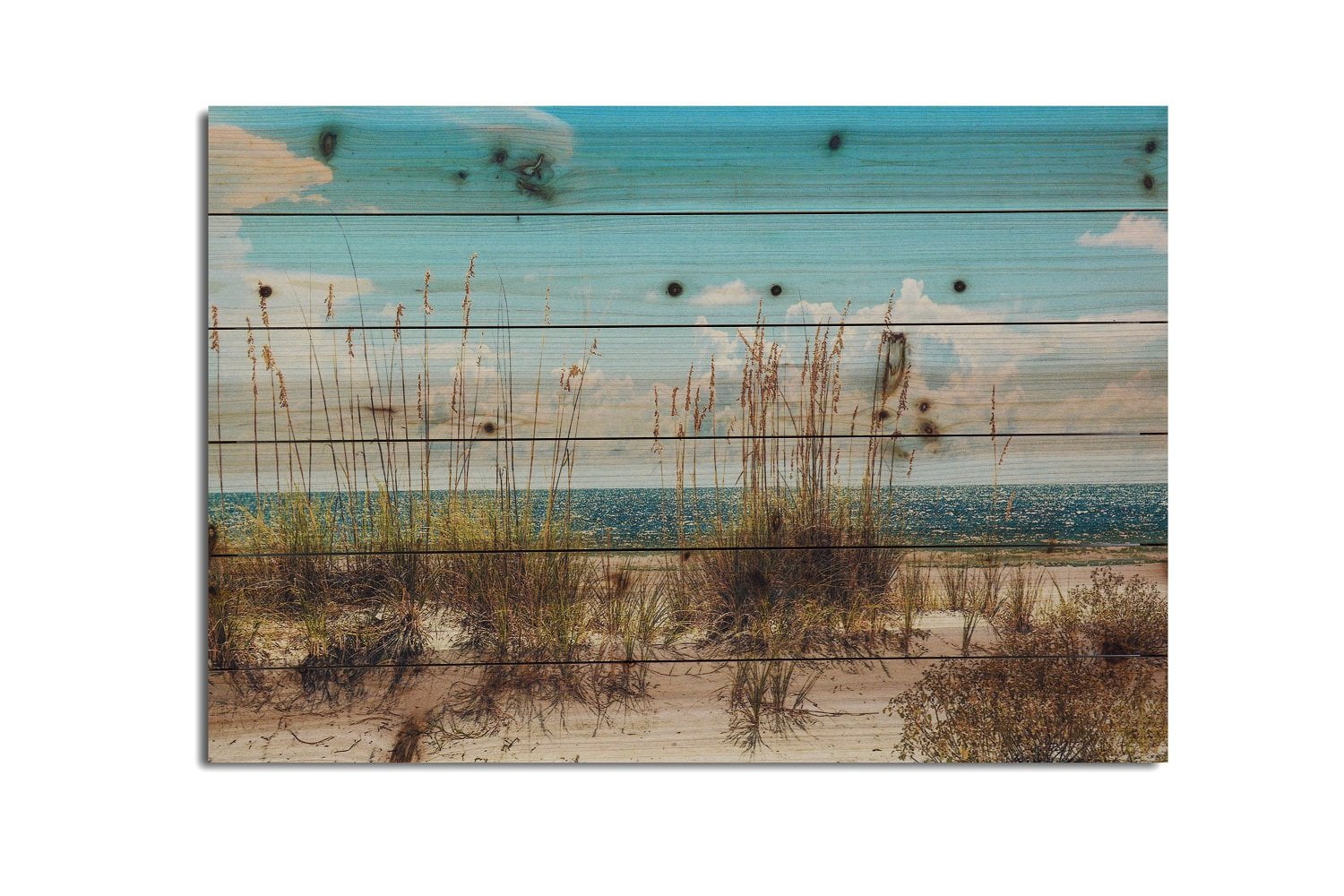 "Sand Dunes" Print on Planked Wood Wall Art