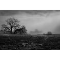 thumbnail image 2 of Linden, Sally 32x23 White Modern Wood Framed Museum Art Print Titled - Shaded Trees, 2 of 4