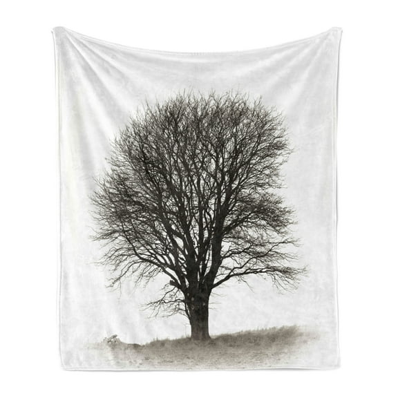 Grey Soft Flannel Fleece Throw Blanket, Photo of a Big Tree on a Field Branches Fall Season Monochromic Landscape Artwork, Cozy Plush for Indoor and Outdoor Use, 70" x 90", Beige Black, by Ambesonne