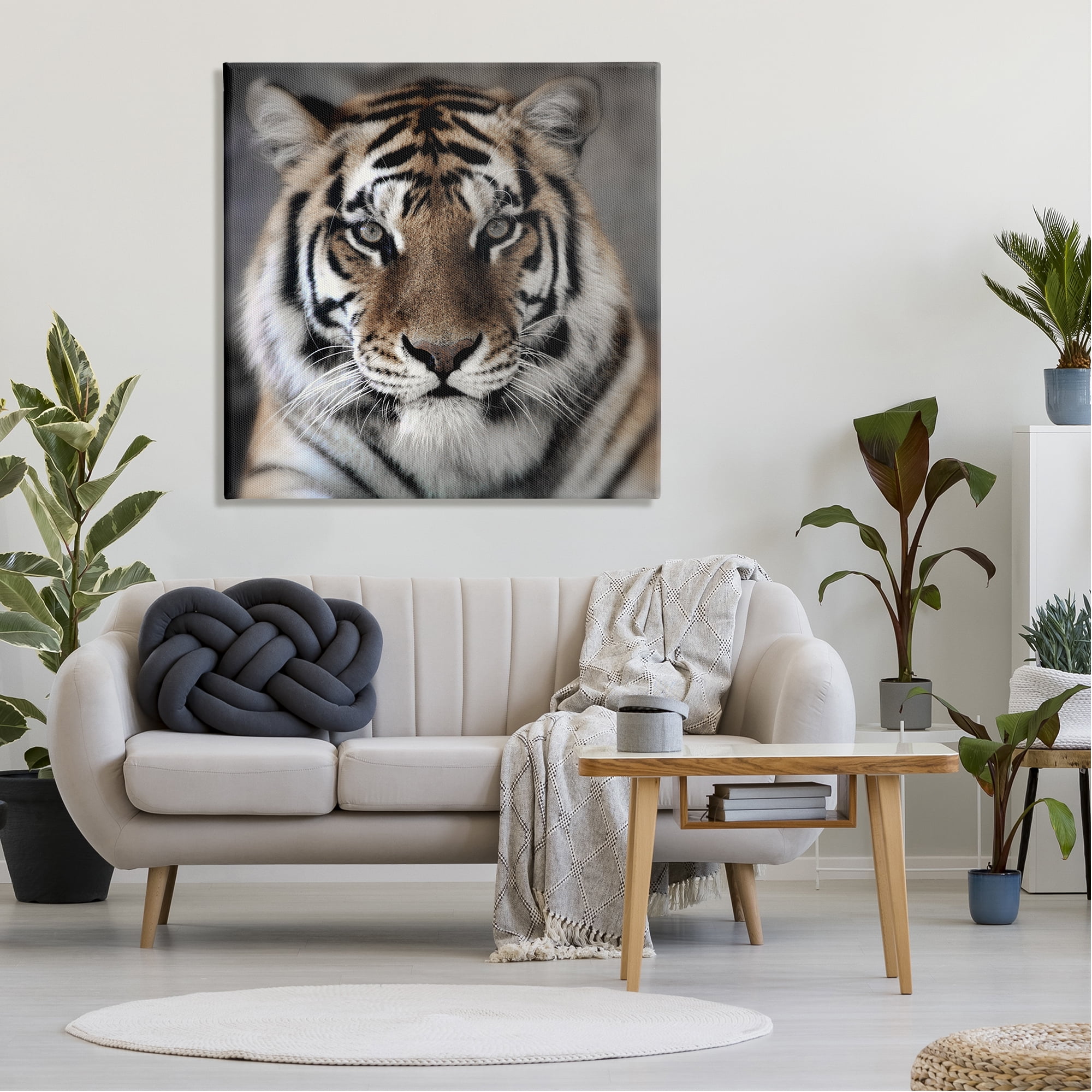 Stupell Industries Tiger Close Up Photograph Animals & Insects Photography Gallery Wrapped Canvas Art Print Wall Art, 36 x 36