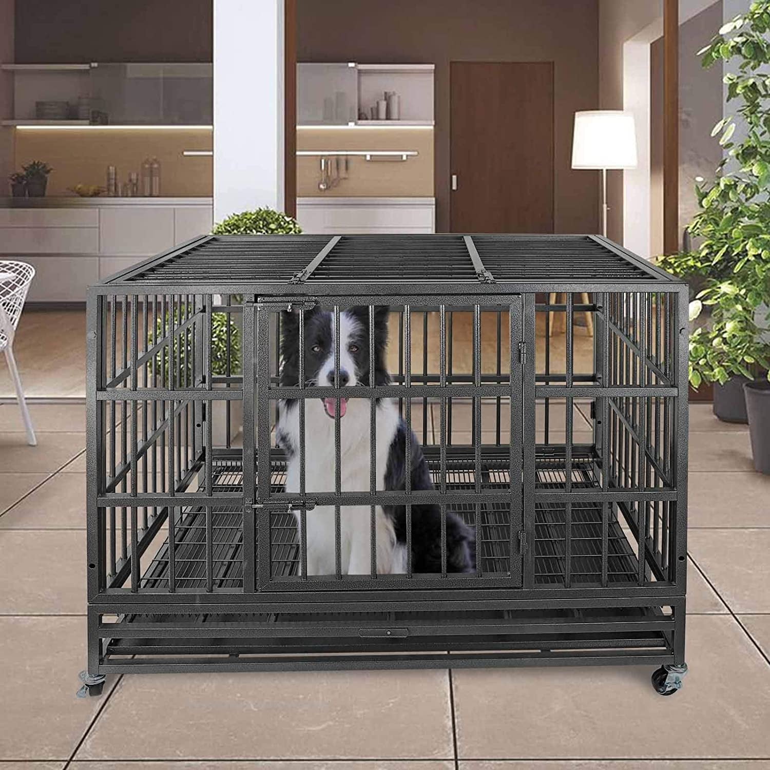 dog cage insert