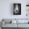 thumbnail image 3 of Aledanda 'Tropical II' Canvas Art, 3 of 3