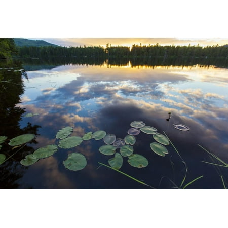 Northern Reflections - Water Lilies and Cloud Reflection on Lang Pond, Northern Forest, Maine Print Wall Art By Jerry & Marcy Monkman