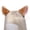 Brown, variant on Soft Hairpin Artificial Cats Ear Hair Clip for Halloween and Carnivals Devil Cosplay Headpiece Halloween Party