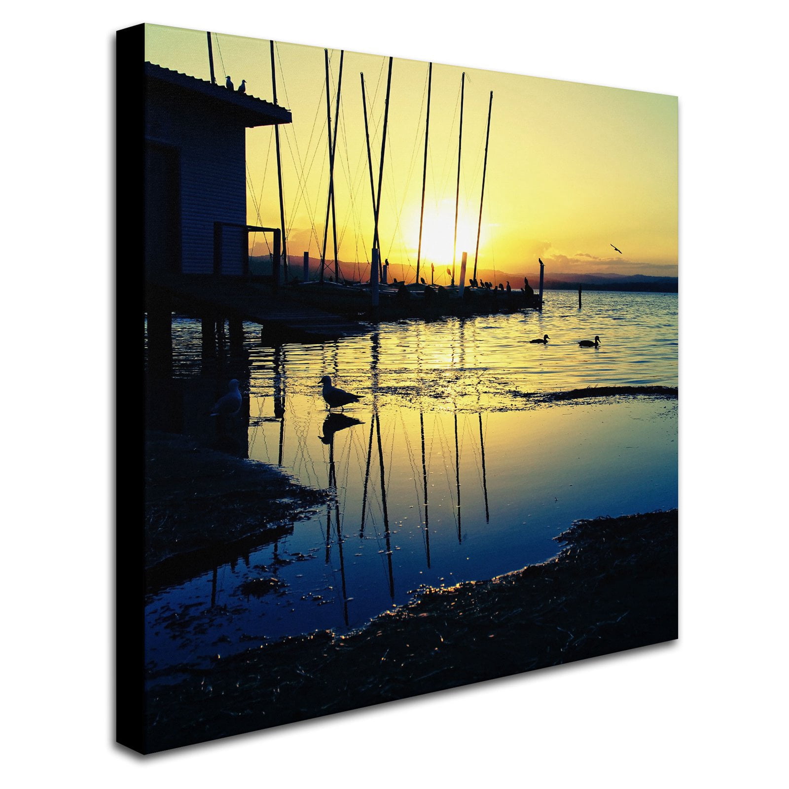 Trademark Fine Art "Sunset Conversations" Canvas Art by Beata Czyzowska Young