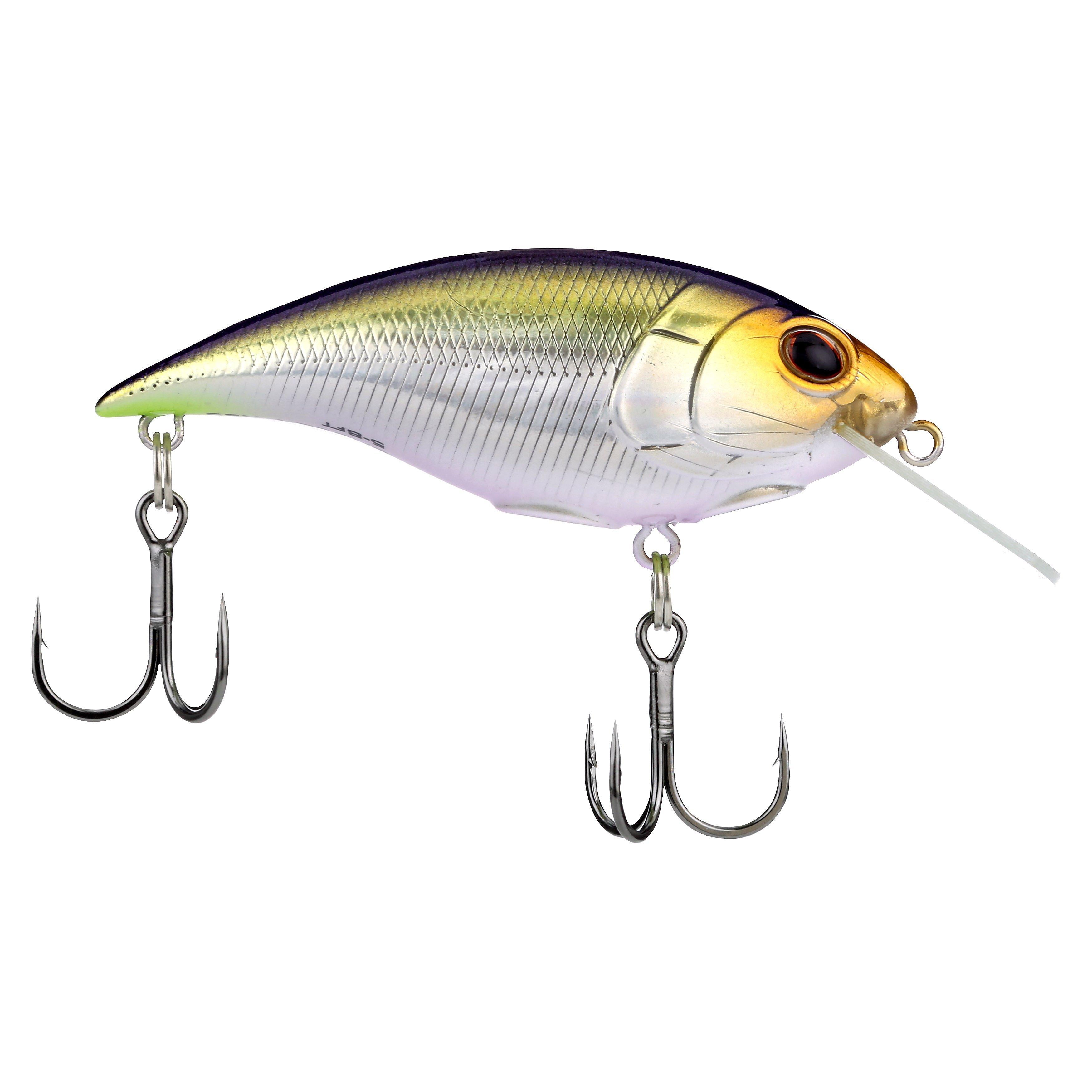 Shallow Money Badger Fishing Crankbait, 2.75 in, Nebu