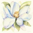 thumbnail image 2 of McKenna, Kathleen Parr 26x26 White Modern Wood Framed Museum Art Print Titled - Magnolia, 2 of 4