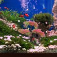 thumbnail image 5 of YSNOOWE Planta Decorativa Para Acuario Con Detalles Realistas Y Materiales Seguros Para Peces, 5 of 5