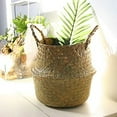 thumbnail image 4 of Seagrass Belly Basket, Set of 1 Woven Plant Pot Holder handmade Home Decor for Storage Plants Picnic Grocery Medium(8.6 x 7.9 inch), 4 of 7
