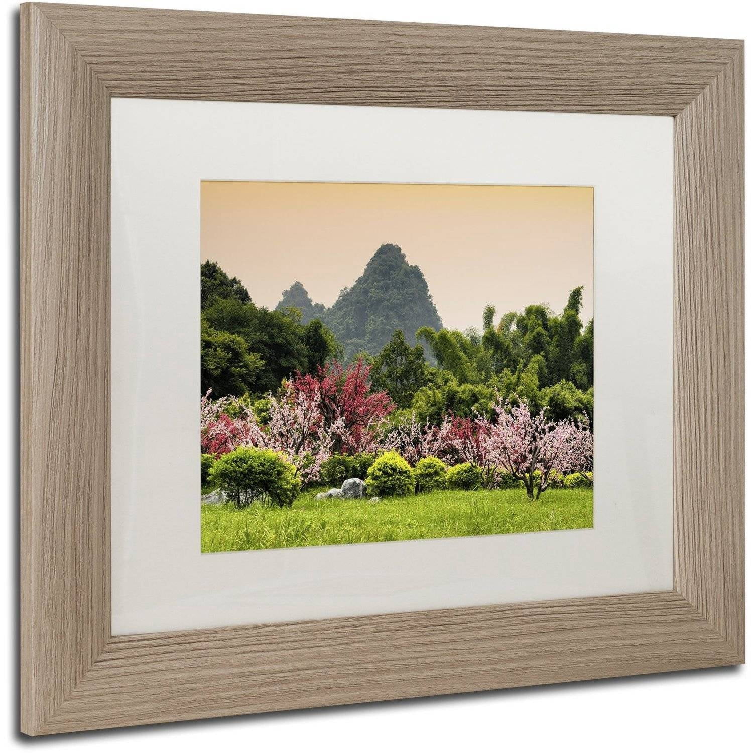 Trademark Fine Art "Wild Flowers" Canvas Art by Philippe Hugonnard, White Matte, Birch Frame