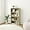 Milky White, variant on Four-Tier Living Room Bookshelf, Small Bookcase with 3 Shelves for Small Spaces, Standing Display Bookshelf with Storage, Book Shelves for Bedroom, Office, Milky White