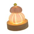 thumbnail image 2 of Lámpara de Mesa Fernando Lámpara de noche Shell LED, 2 of 8