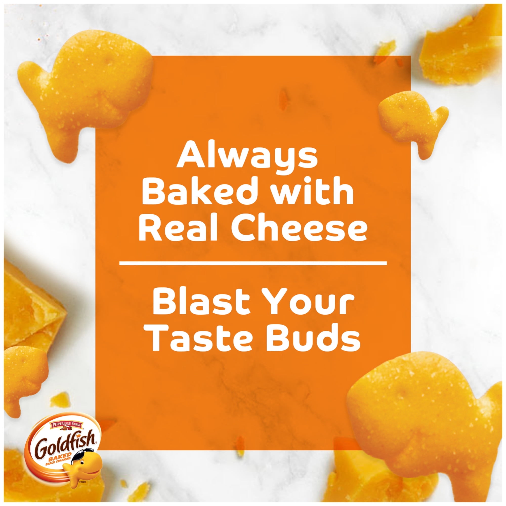 Goldfish Flavor Blasted Crackers, Xtra Cheddar Snack Packs, 12 Count Multipack(pack of 2)