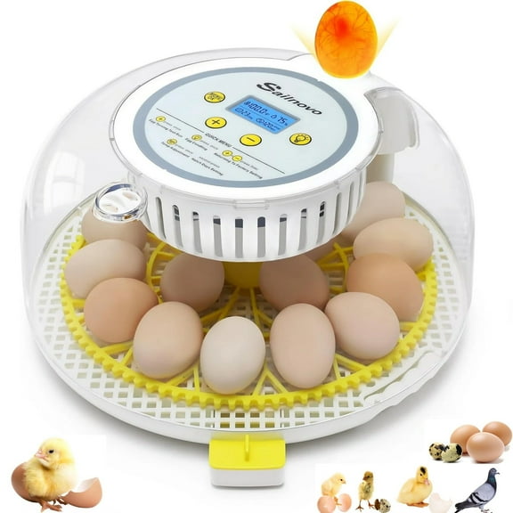 Adnoom Egg Incubator, 18 Eggs Automatic Incubator with Temperature Control and Automatic Egg Turning Function for Hatching Chickens, Ducks, Geese, Quails, and Birds, Built-in Egg Candler