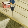 thumbnail image 5 of (2 pack) OMG INC Deck Screws With Bit, Gold, 2.5-In., 75-Pk. FMGD212-75, 5 of 8