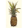 thumbnail image 2 of Willett, Michael 10x14 Black Ornate Wood Framed with Double Matting Museum Art Print Titled - Pineapple Study II (ASH), 2 of 4