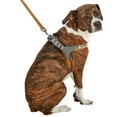 thumbnail image 4 of Best Friends Dog Harness-Neoprene Comfort Liner-Orange and Gray, Large, 4 of 7