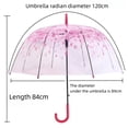 thumbnail image 2 of Transparent Umbrella Special Creative Flower Umbrella, 2 of 5