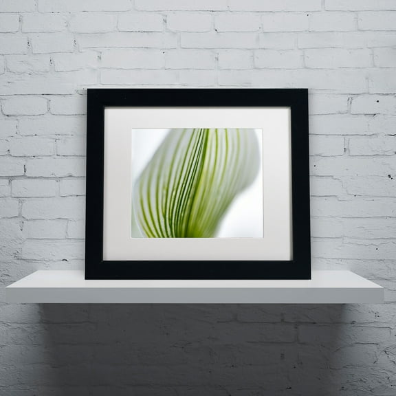 Trademark Fine Art "Orchid Abstract Blurred Lines" Canvas Art by Kurt Shaffer, White Matte, Black Frame