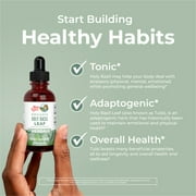 MaryRuths Holy Basil Leaf Liquid Drops, Adaptogenic, Detox, Antioxidant, Vegan, Gluten-Free, Dairy-Free, 1 oz