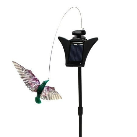 hummingbird dancing solar fly yard powered flower body garden