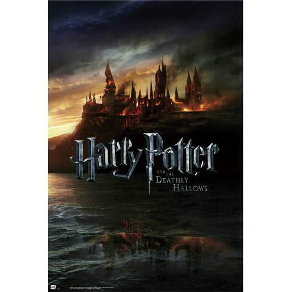 Harry Potter And The Deathly Hollows Poster (24 x 36)