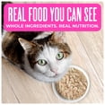 thumbnail image 2 of Tiki Cat Born Carnivore Wet Cat Food, Tuna & Crab Recipe in Tuna Broth, 2.4 oz. Can, 2 of 9