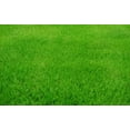 thumbnail image 3 of Sunniland Nitro Green 16-0-8, 33 lb., 3 of 5