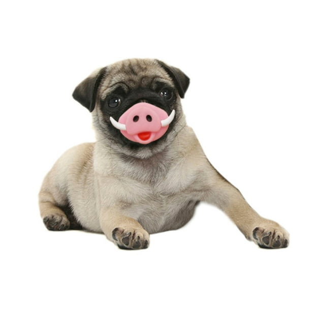 can puppies have pig snouts