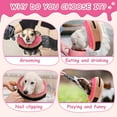 thumbnail image 5 of Clackibukvyz Pet Recovery Collar & Cone, Inflatable Dog Collar to Prevent Pets from Touching Stitching, for Dogs, Pink, Large (1 Pack), 5 of 7