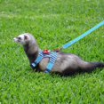 thumbnail image 7 of Holzlrgus Small Pet Harness Vest and Leash Set with Bowknot and Bell - Adjustable Soft Breathable Chest Strap Harness for Guinea Pigs, Ferrets, Chinchillas (Blue), 7 of 7